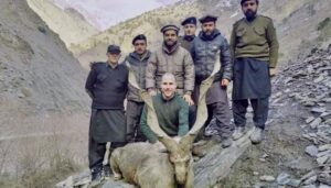 Markhor in Chitral